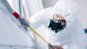 Best Residential Pest Control  in Ol, LA